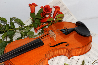 Violin Love Suite Vol.1